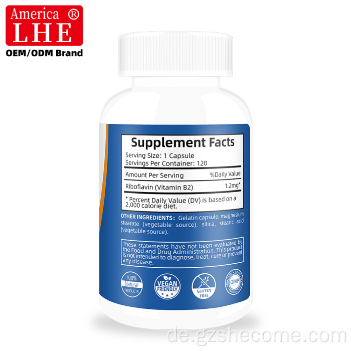 Hochwertiges Shecome-Vitamin-B2-Ergänzungsmittel für die Immungesundheit